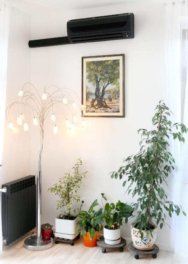 Divia Apartment ริเยกา ภายนอก รูปภาพ
